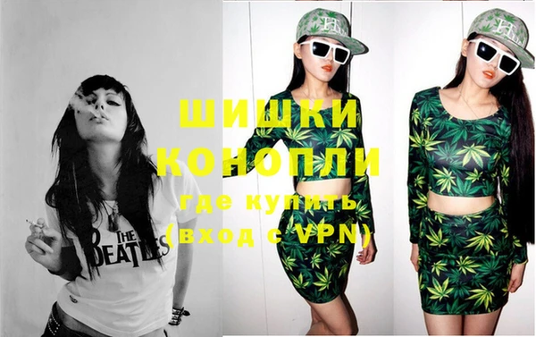 амф Бронницы