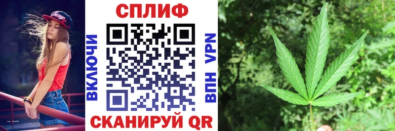 блэк спрут вход Киселёвск Шишки марихуана марихуана